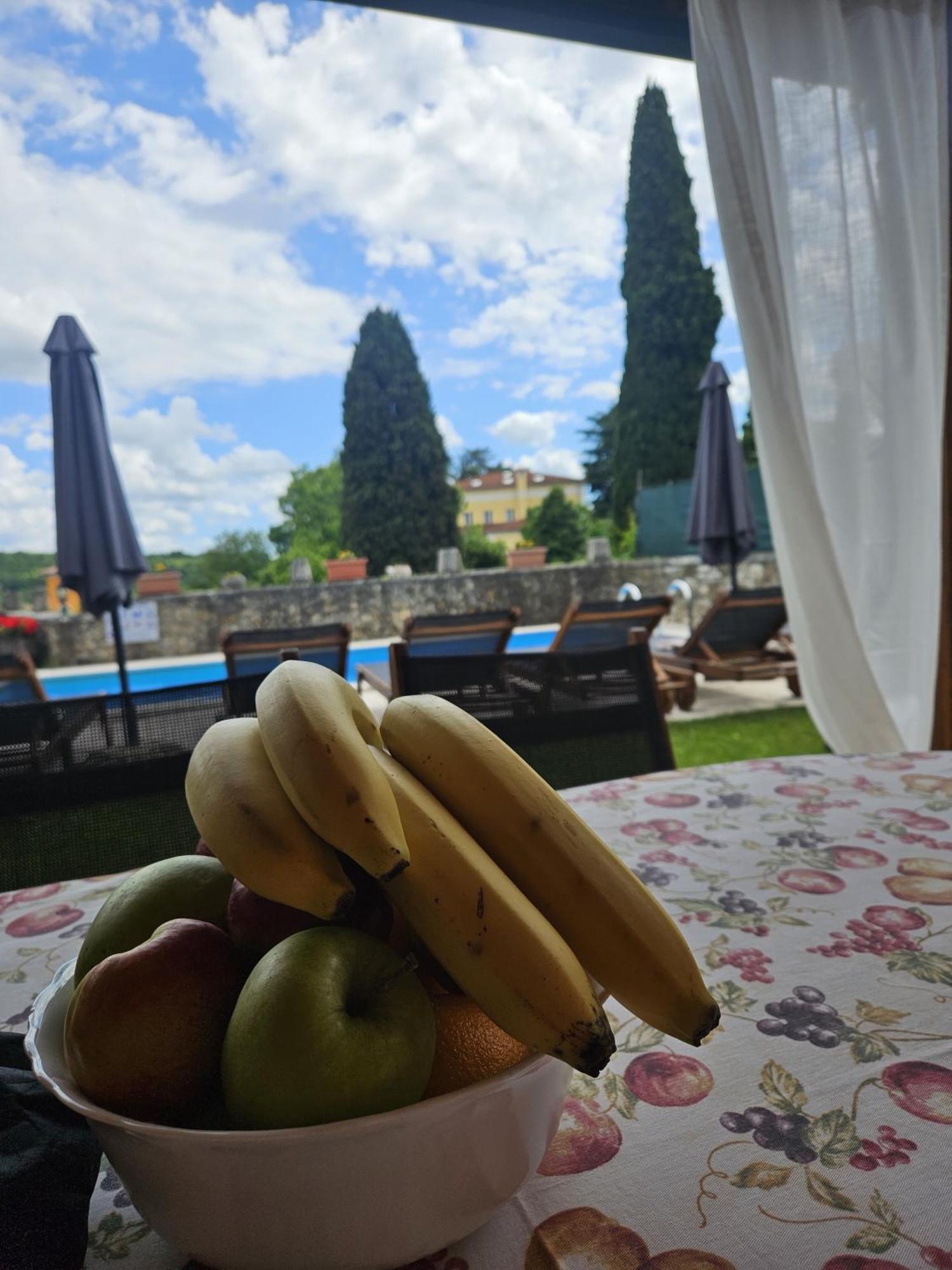 Villa Letizia Oprtalj Zewnętrze zdjęcie